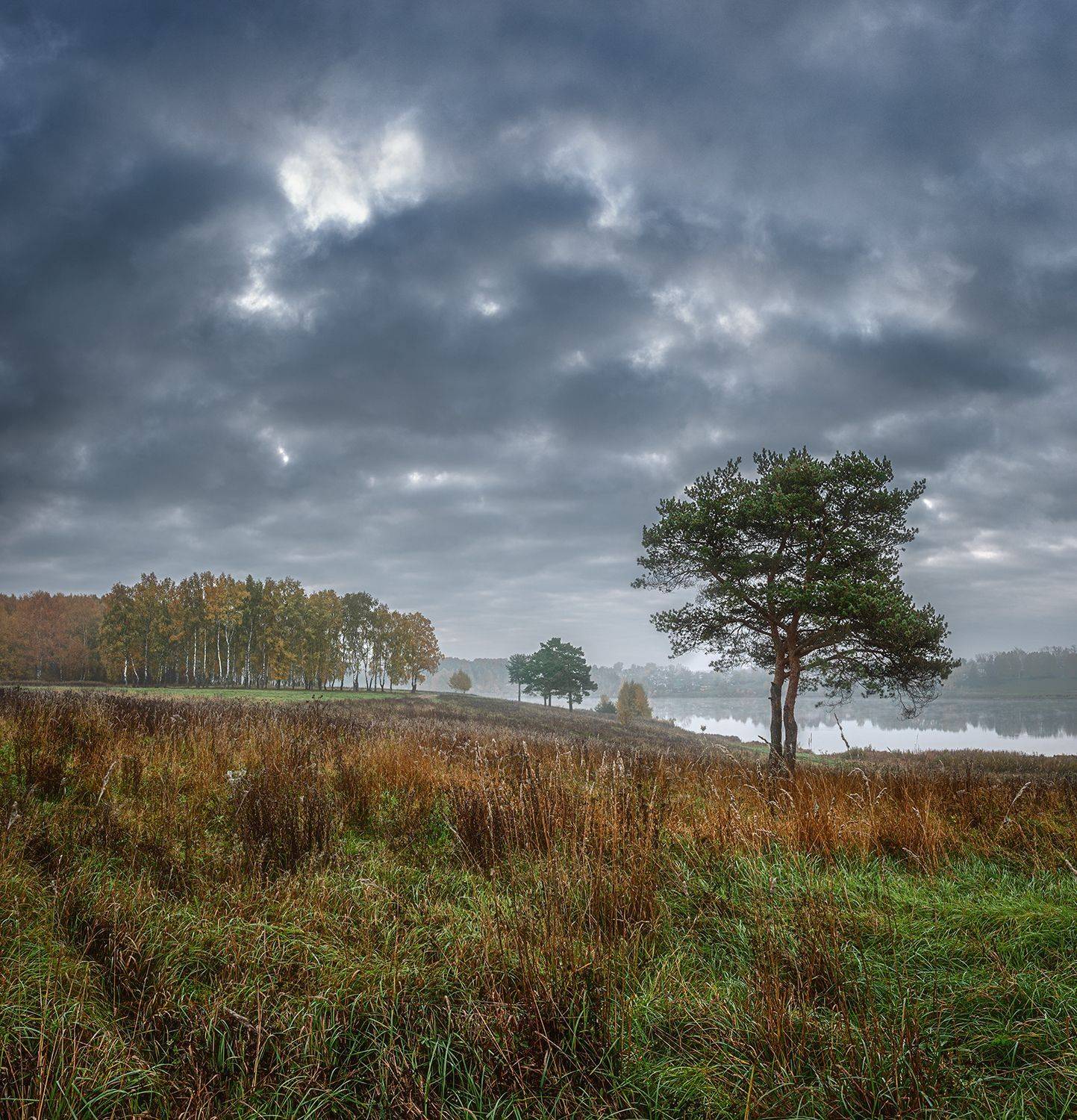 , Николай Андреев