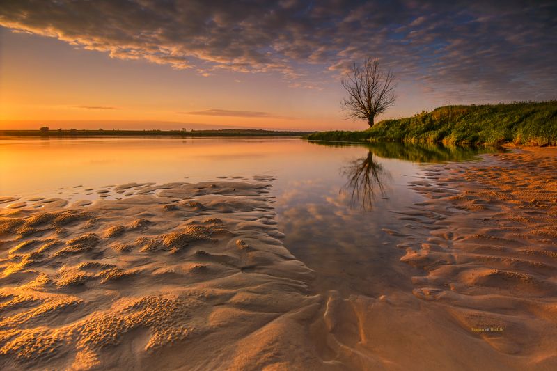 river, sunrise, lonely tree, sand, sky, clouds, landscape Tales from the river. фото превью
