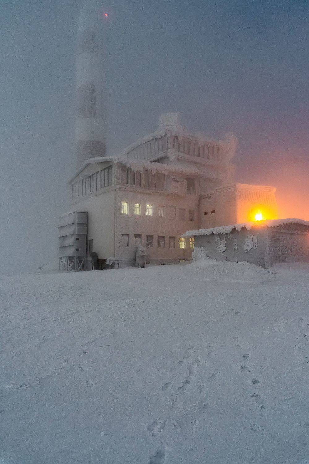 , Пламен Куденко