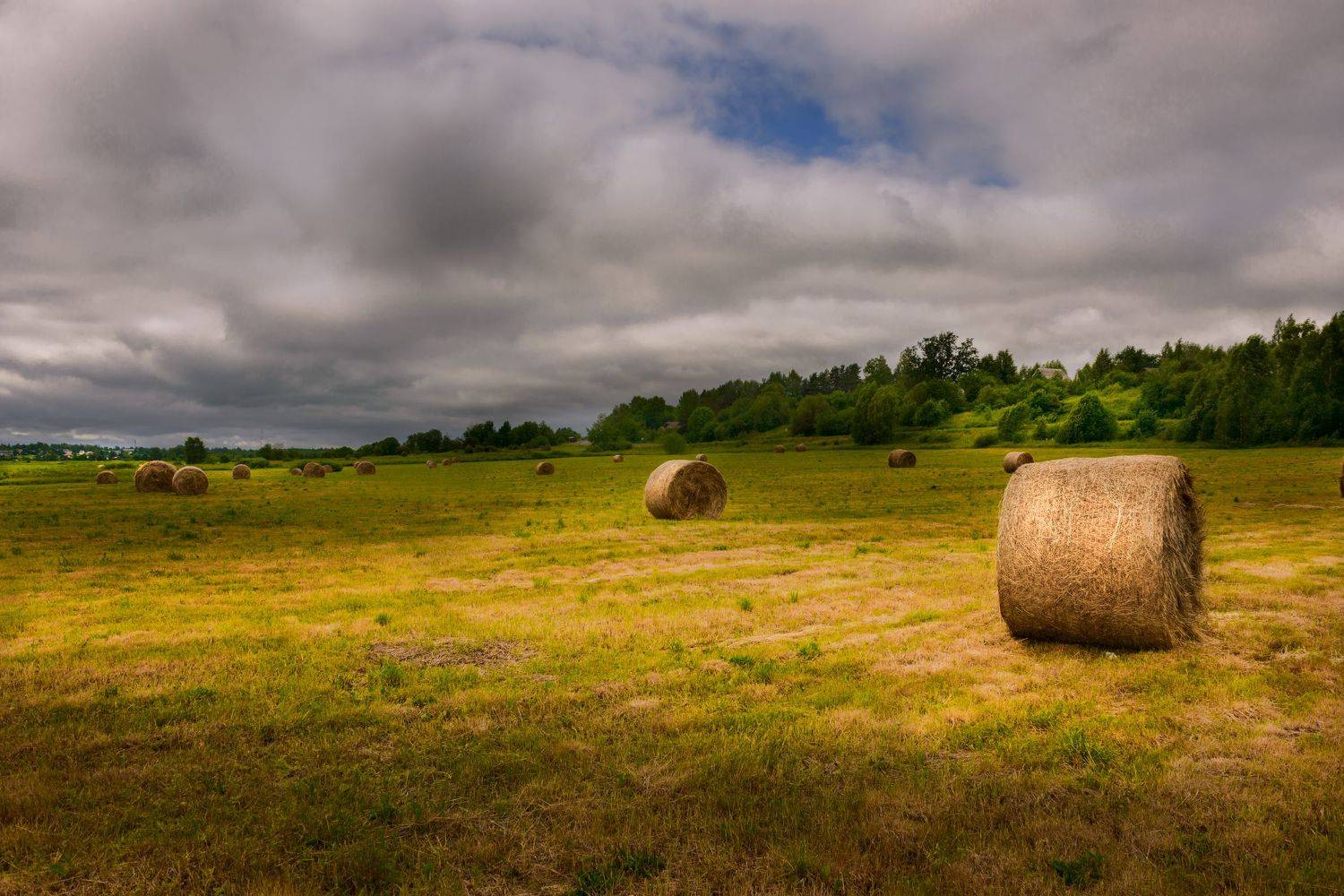 , Борис Леваков