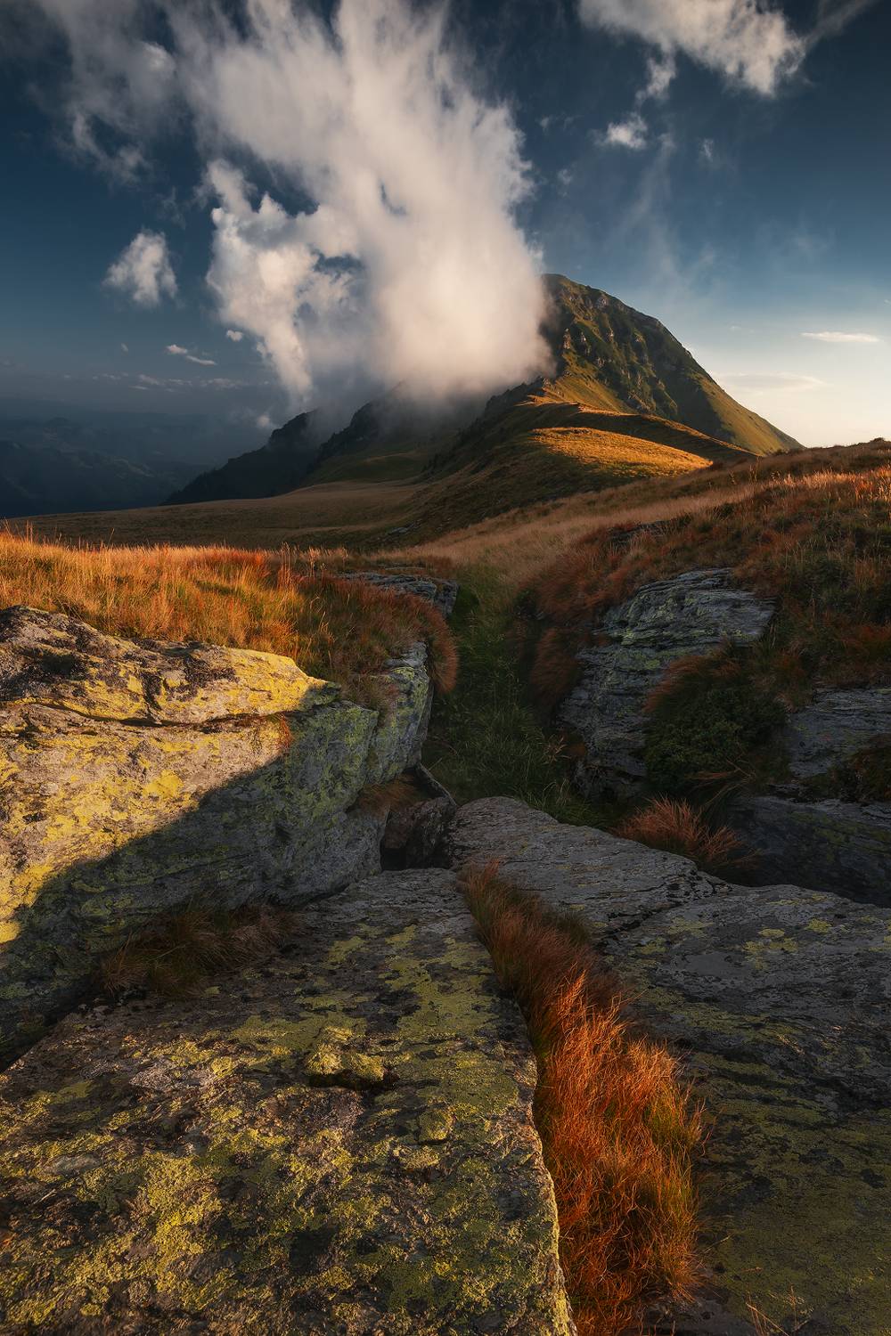 , Szabo Zsolt Andras