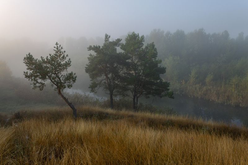 . . . фото превью