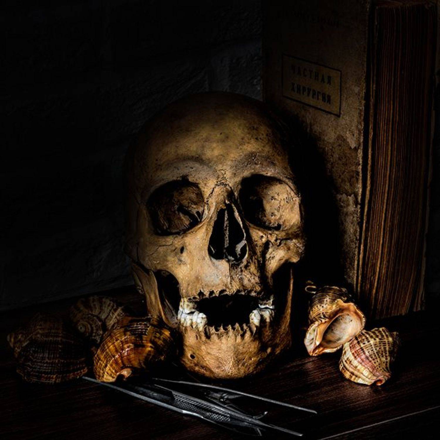 , Игорь Антипов