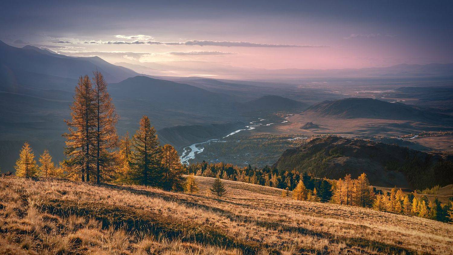 пейзаж, природа, осень, рассвет, утро, алтай, горы, степь, восход, чуя, река, сибирь, желтый, розовый, панорама, Дмитрий Антипов