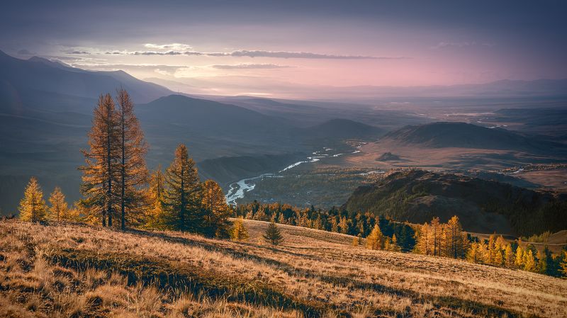 пейзаж, природа, осень, рассвет, утро, алтай, горы, степь, восход, чуя, река, сибирь, желтый, розовый, панорама Чуйская степь в осенних красках фото превью