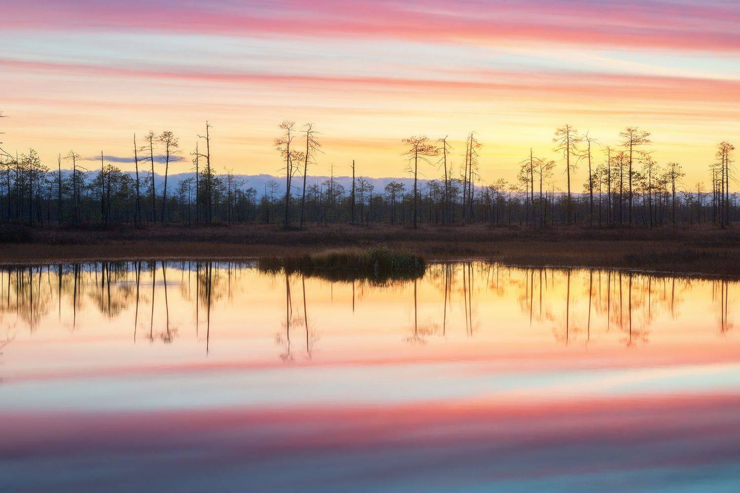 , Михаил Туркеев