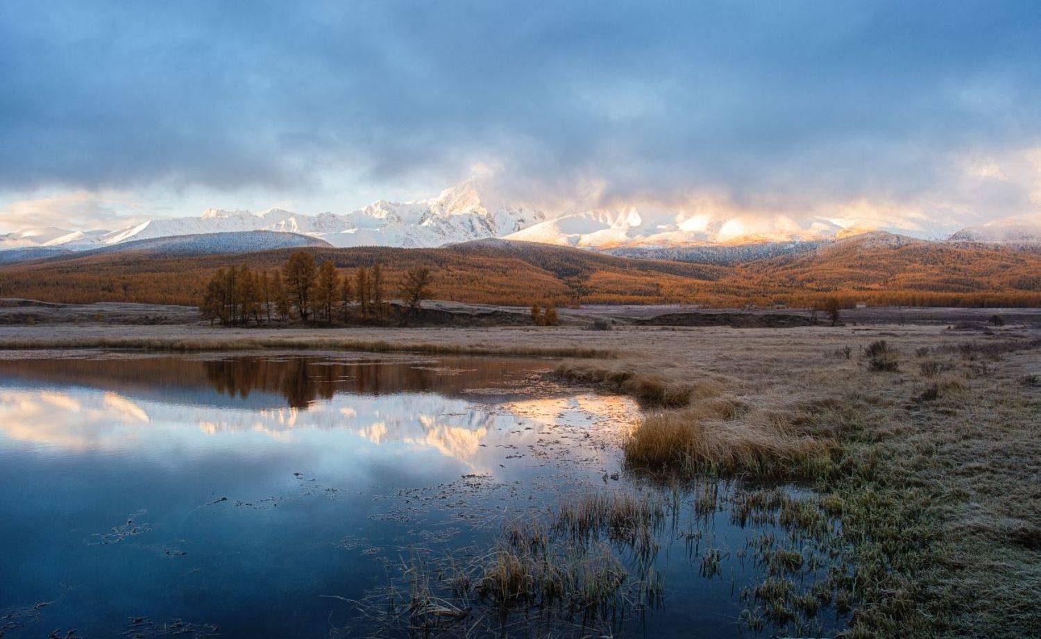 , Толмачев Дмитрий