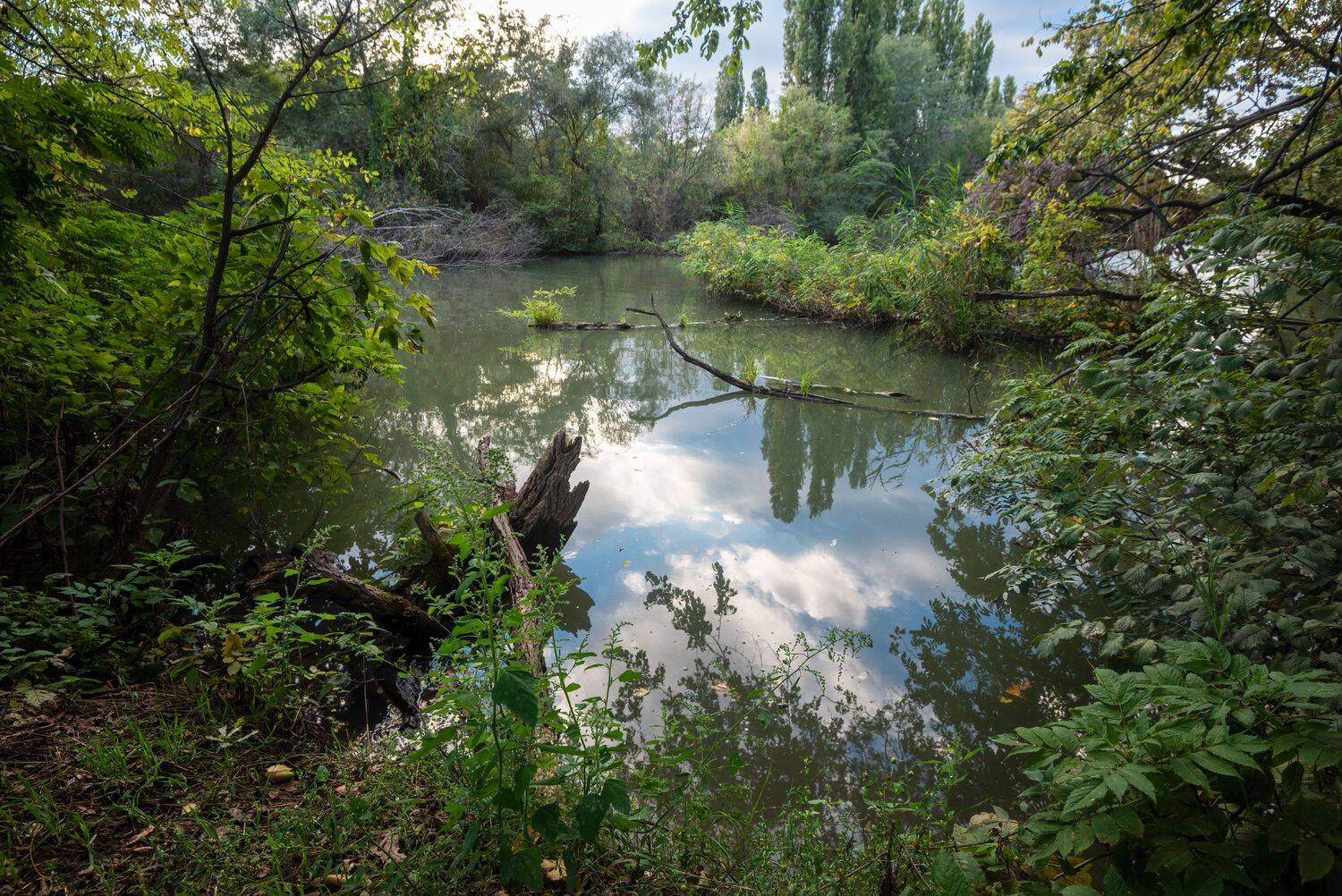 на, старой, кубани, Алексей Рыльский
