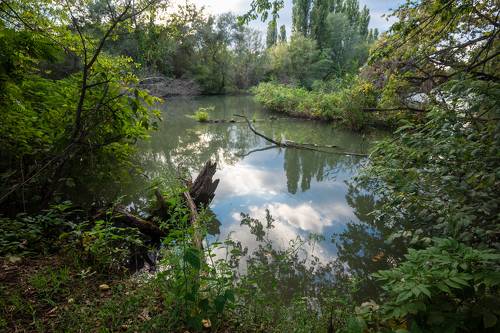 На старой Кубани