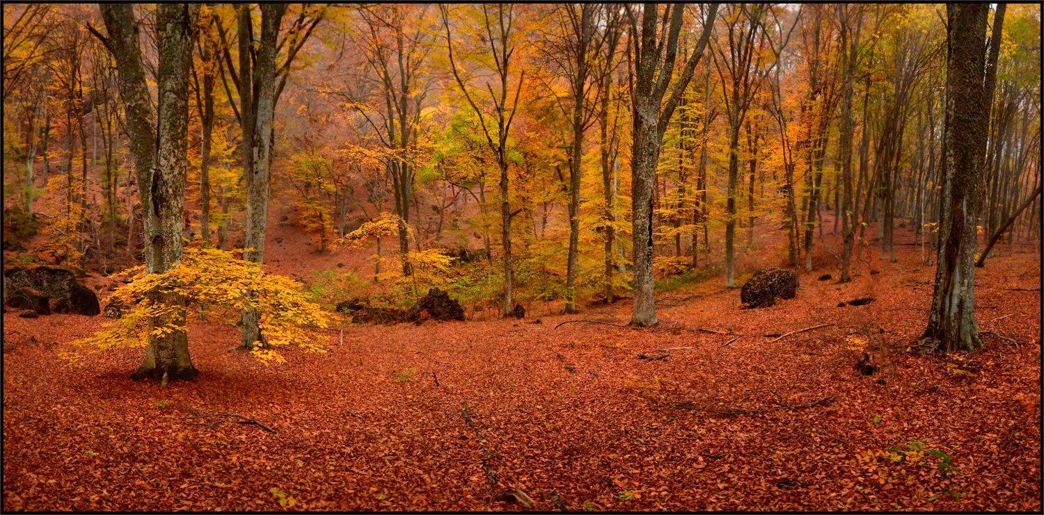 , Владимир Метцгер