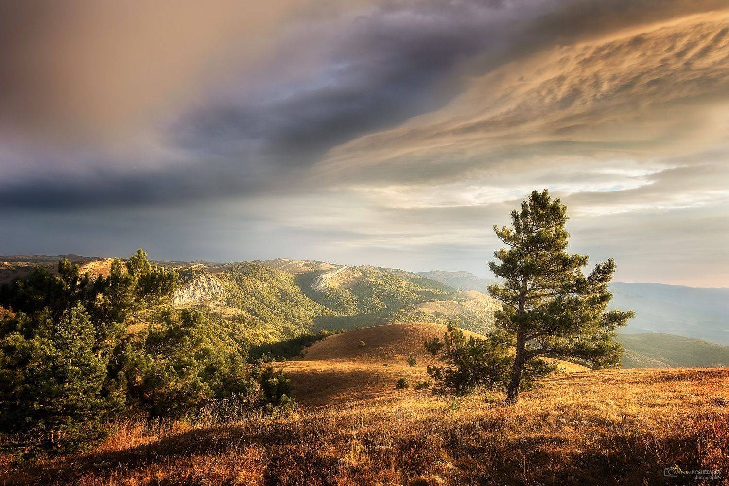 , Антон Кошетаров