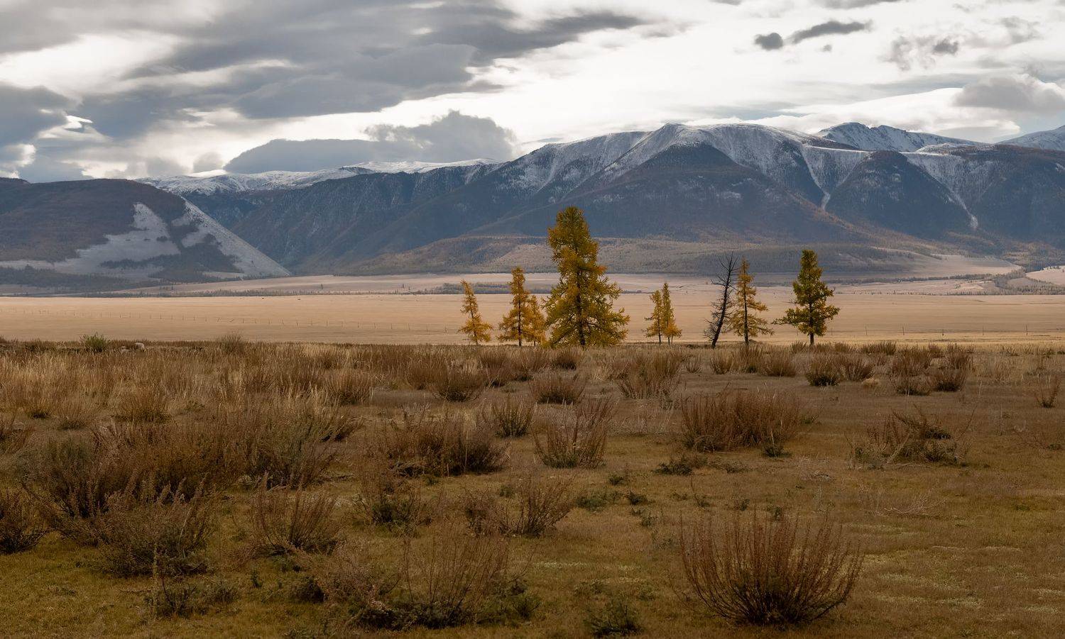 алтай, курайская степь., непогода.,, Марина Фомина