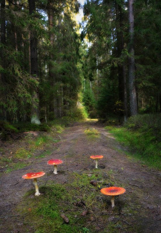 сергей алексеев, пейзаж Передовой отряд фото превью