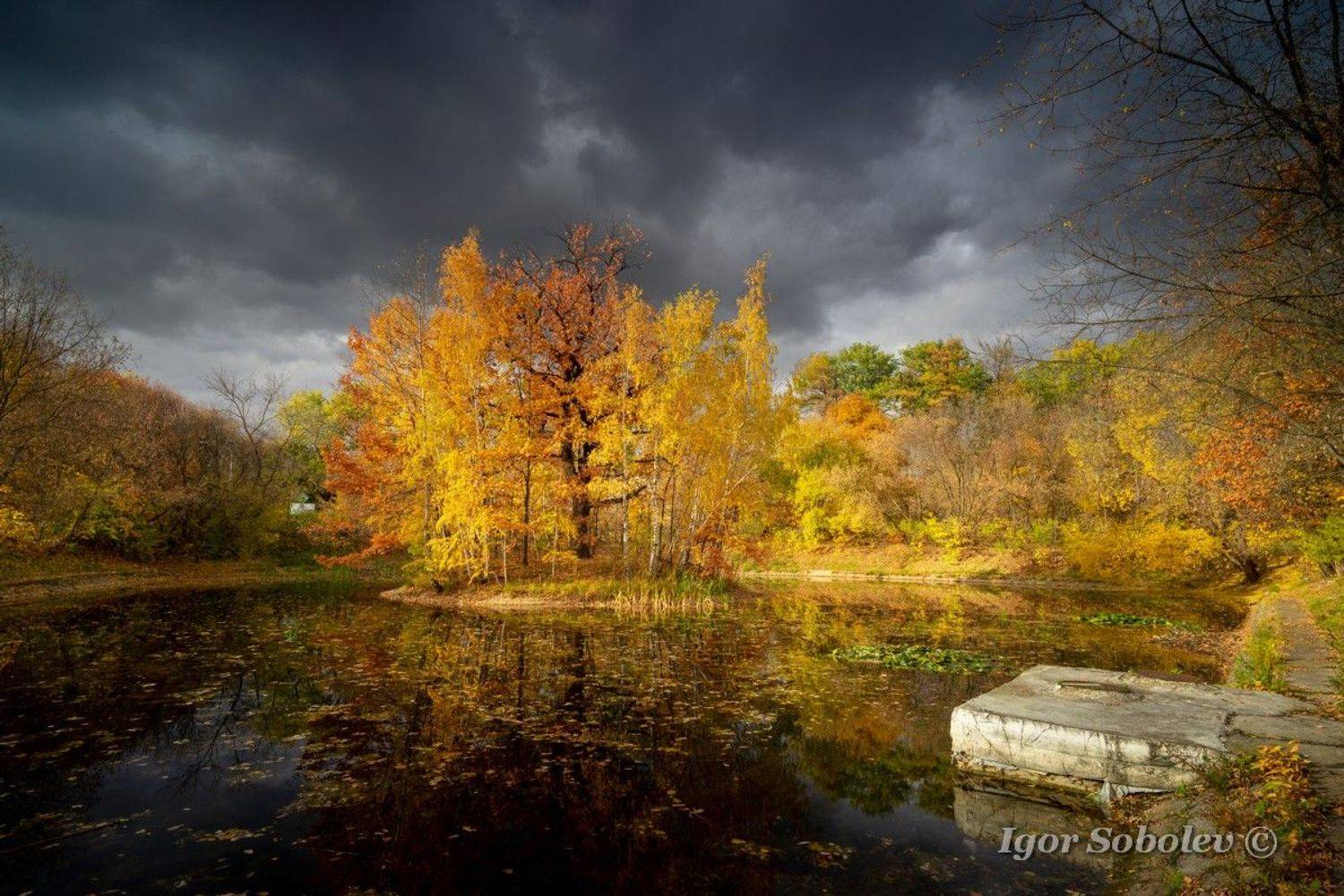 москва, сокольники, осень, пруд, Игорь Соболев
