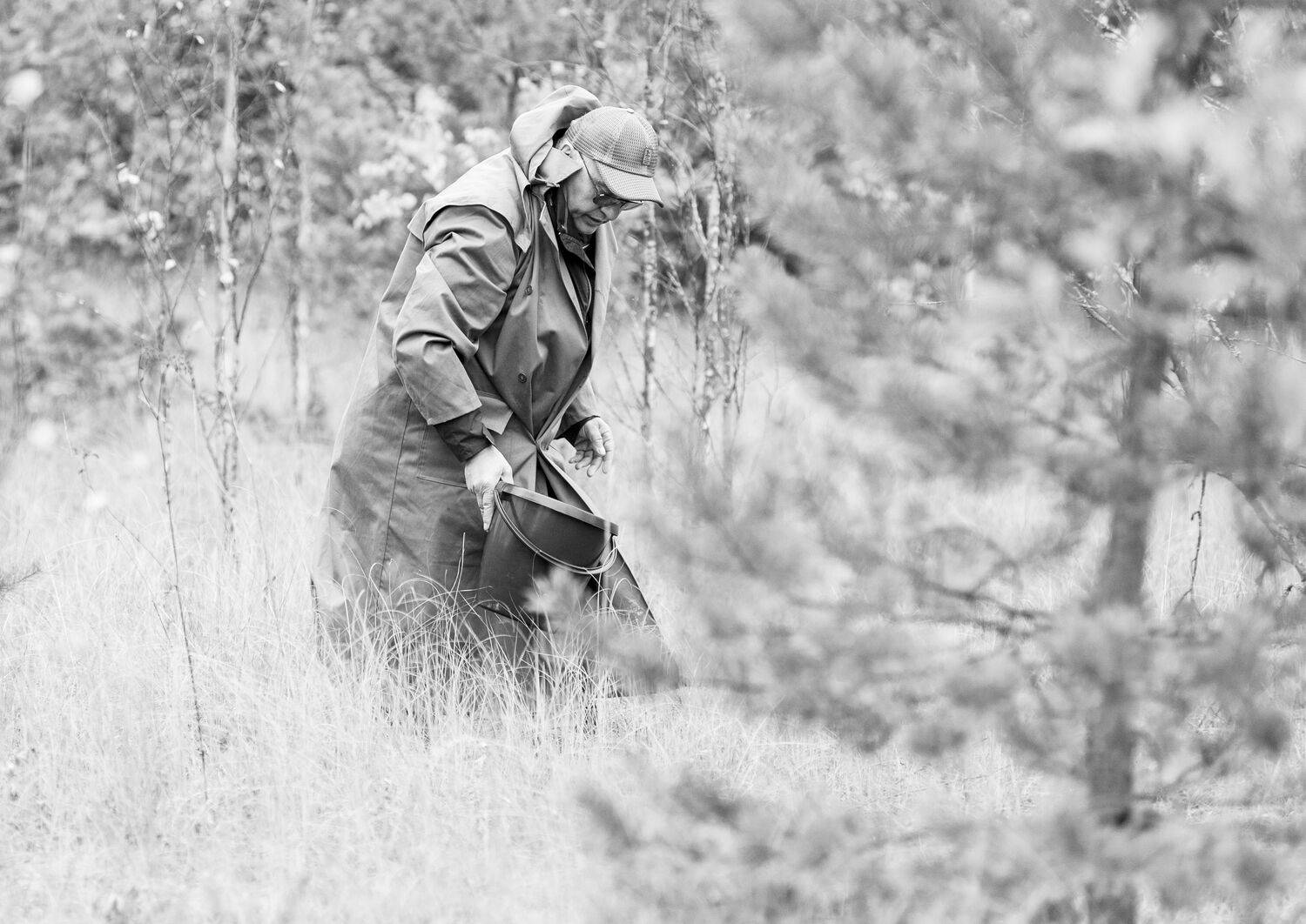 сестрорецкое болото, Георгий Сапожников