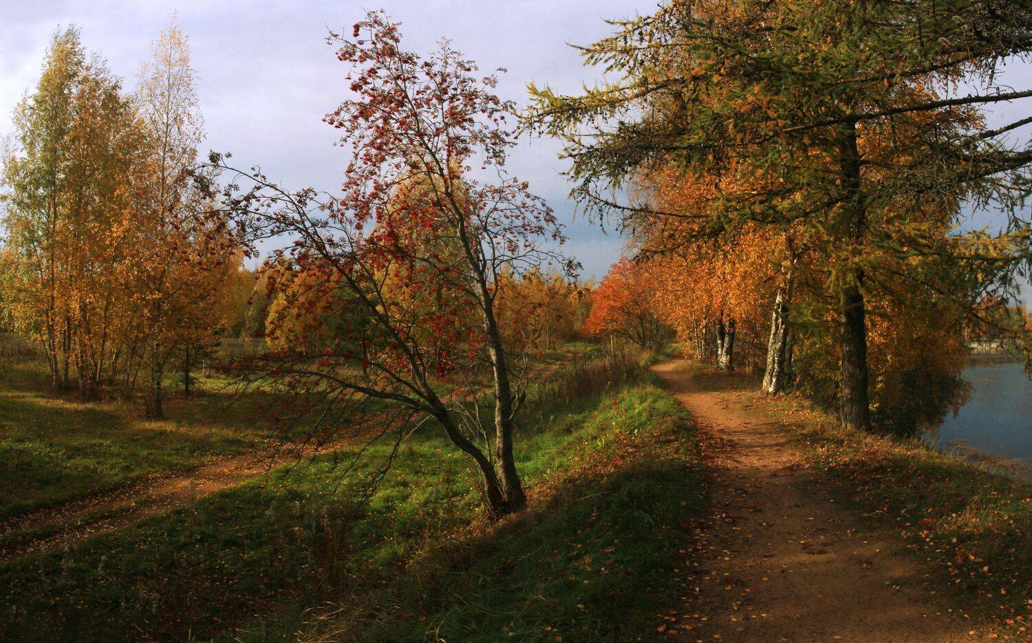 , Сергей Григорьев