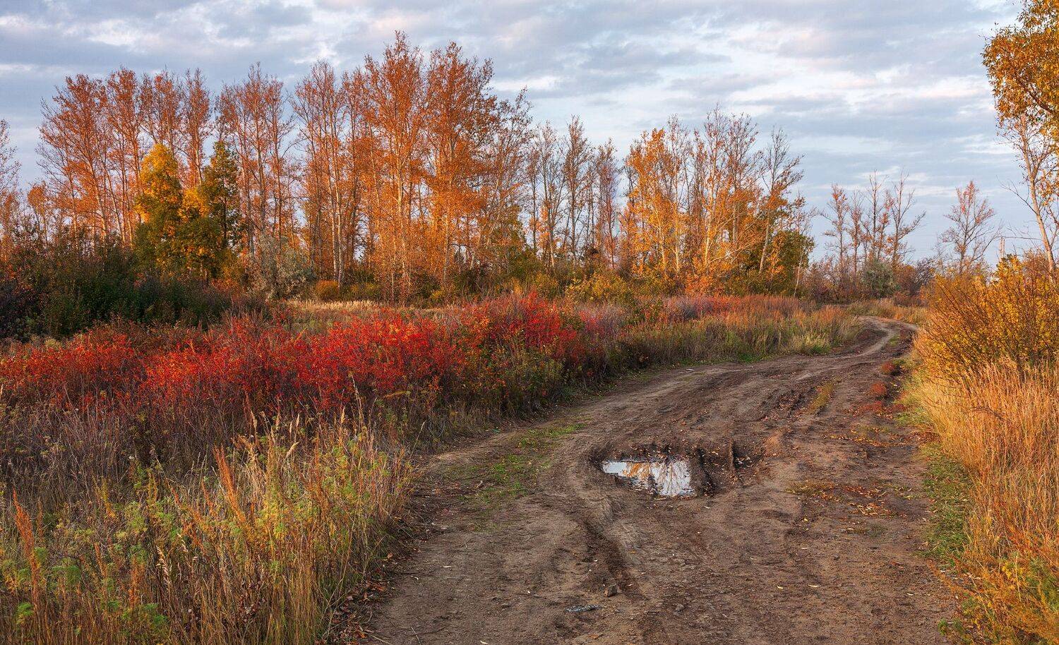 , Леонид Дьяченко