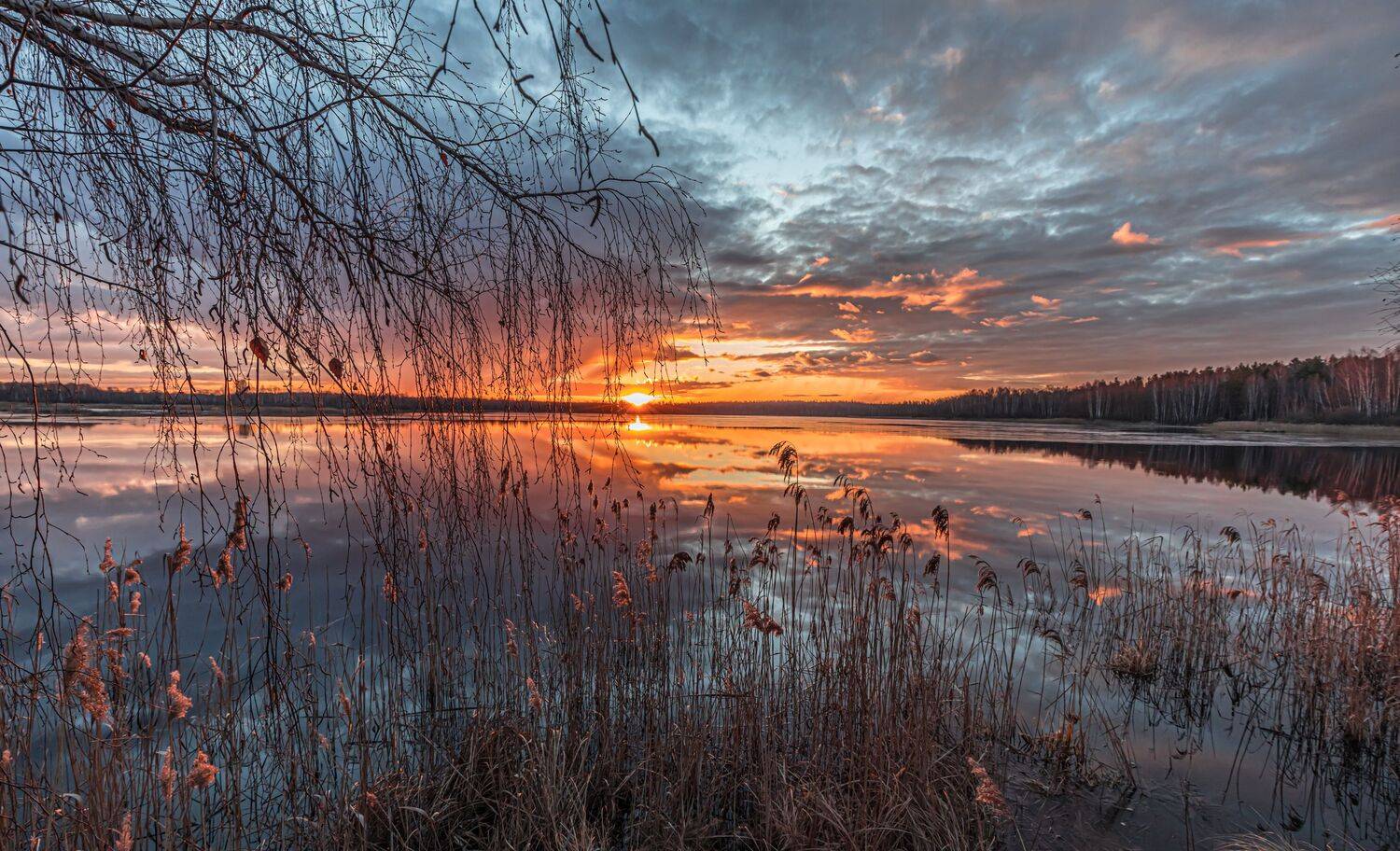 , Евгений Патрешов