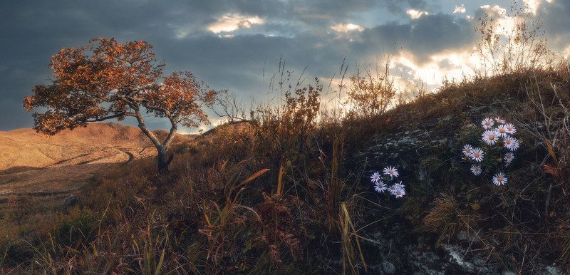 панорама, осень, утро Дыхание осени. фото превью