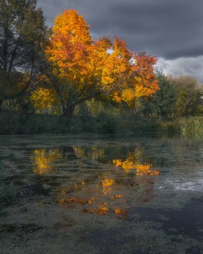 Отражение осени