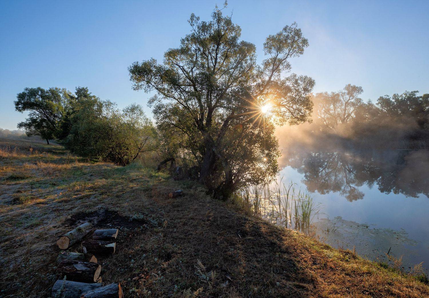 , Александр Бредихин
