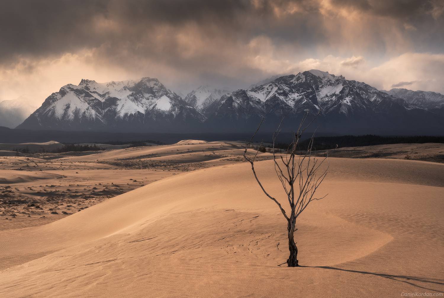 Чарские пески, Даниил Коржонов