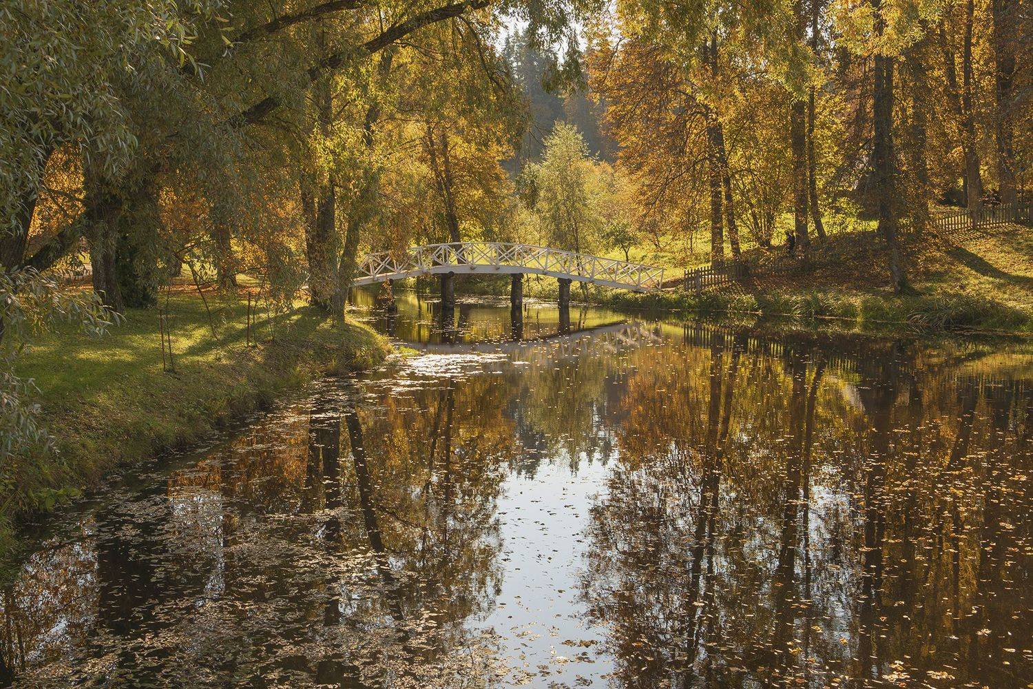псковская обл,михайловское,осень, alexOmRam