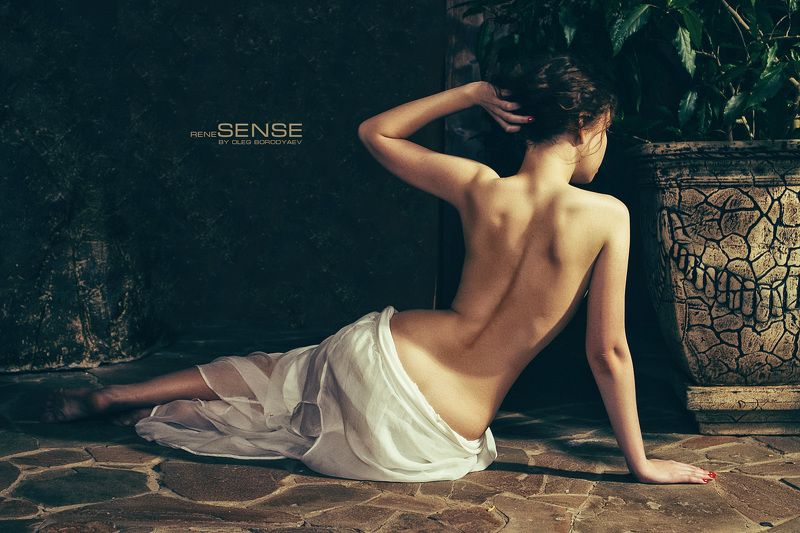 reneSENSE фото превью