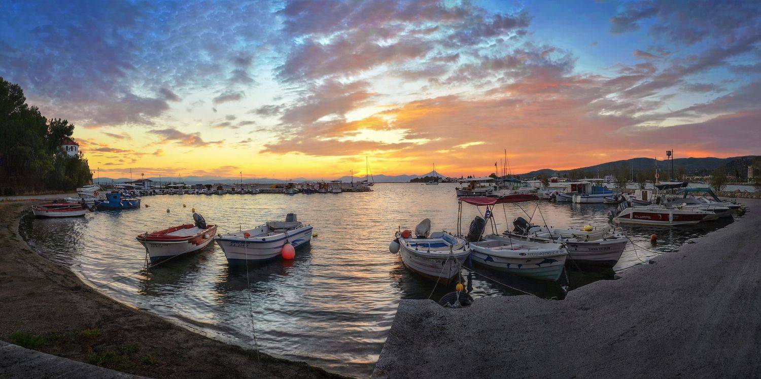 , Марина Ческис