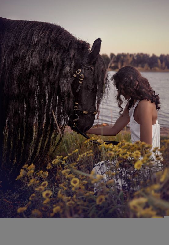 фриз портрет рассвет природа цветы вдвоем фото превью