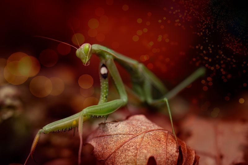 Welcome to the Multiverse фото превью