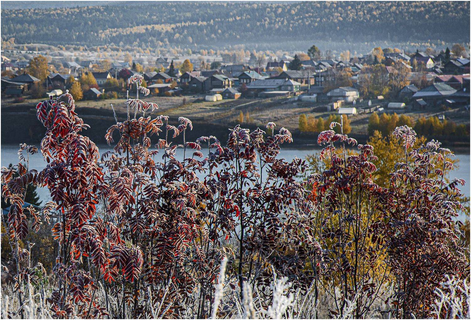 , Александр  Швачко