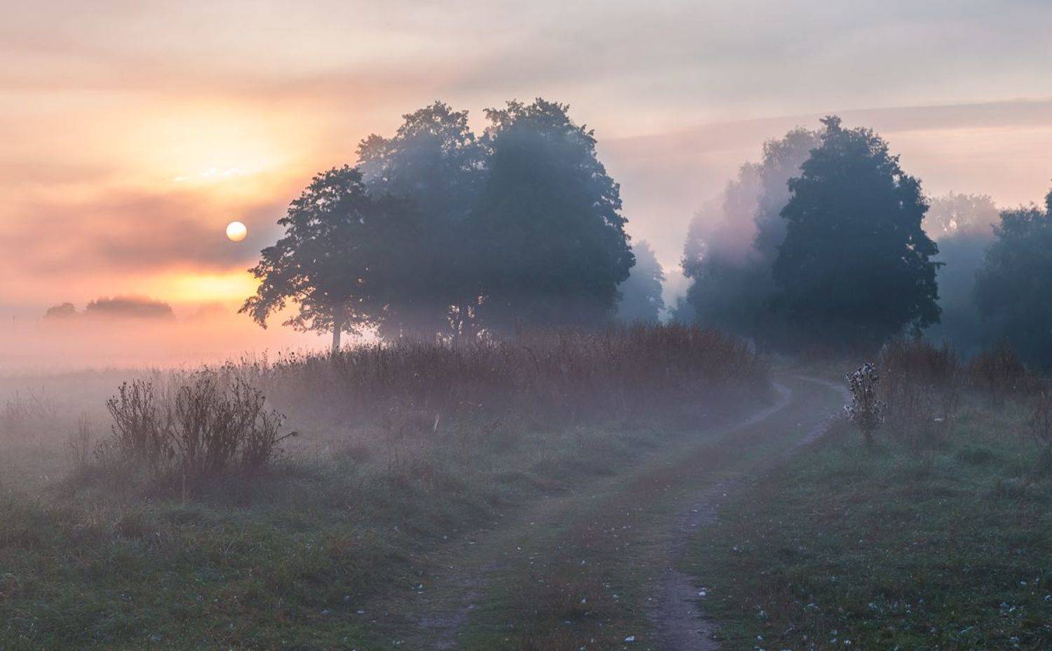 , Александр Подрез