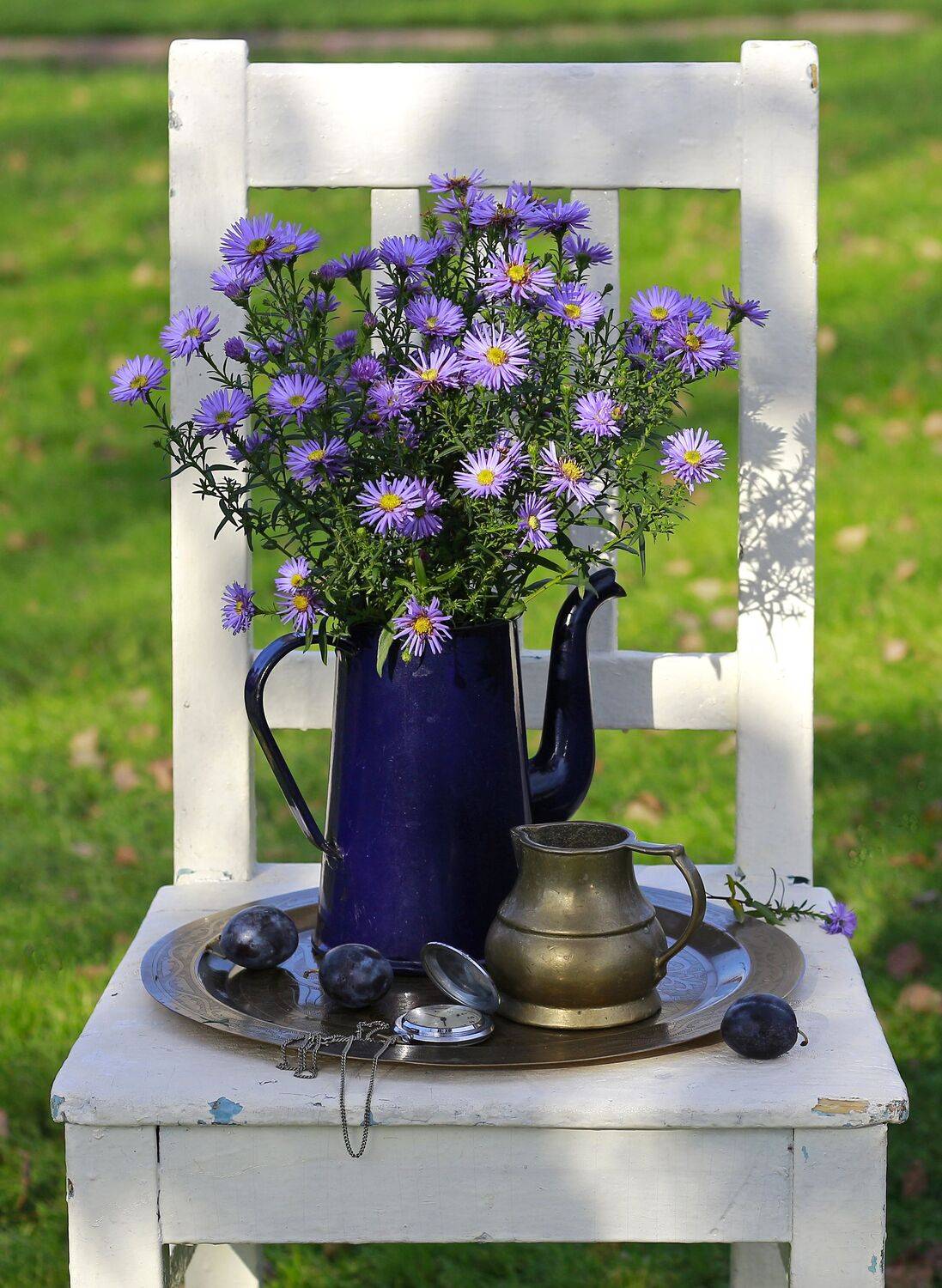 натюрморт, фотонатюрморт, осень, сливы, цветы, наталья казанцева, Наталья Казанцева