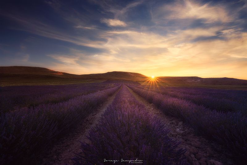 #sunset, #fields, #cloudy, #sun, #sunstar, #purple, #smell, #spain, #lavender LAVENDERS фото превью