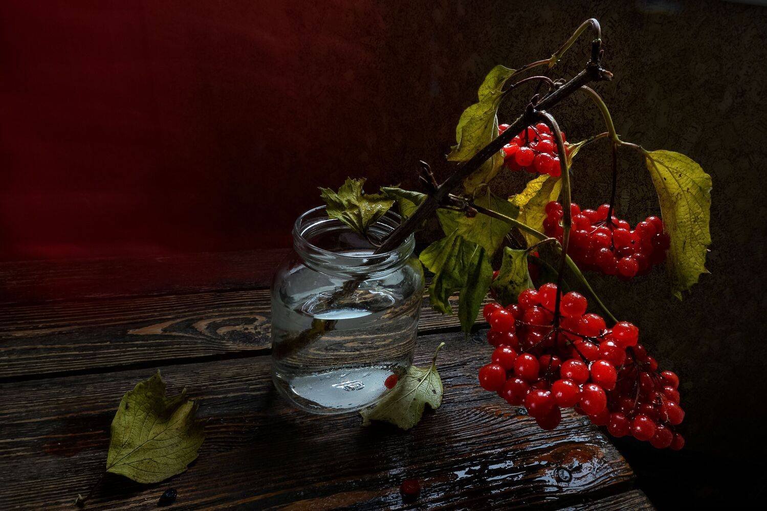 , Ирина Данилова