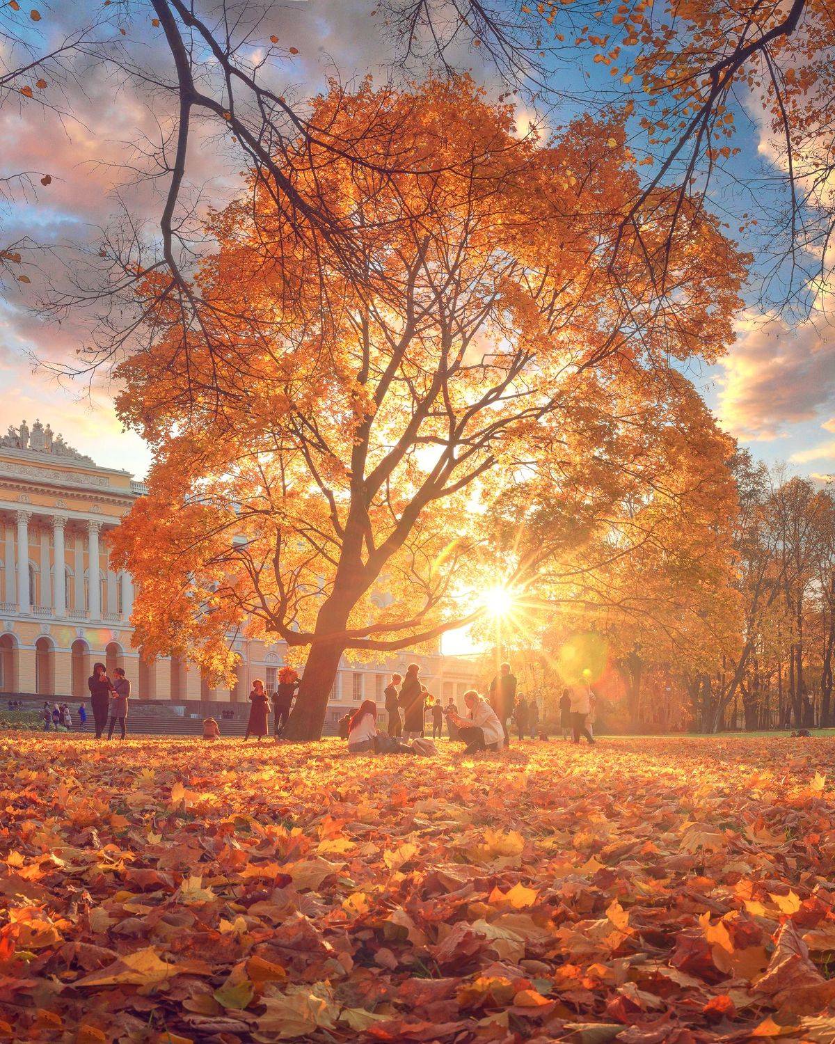 , Андрей Кучеров