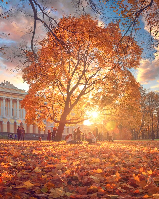 *** фото превью