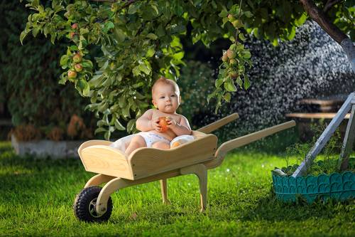 Внук Ми- Мишка