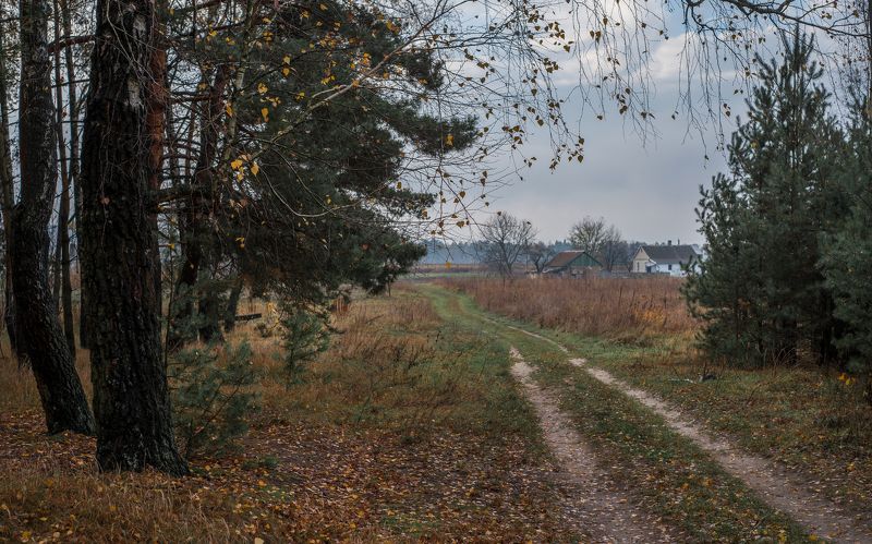 ноябрьская прогулка... фото превью