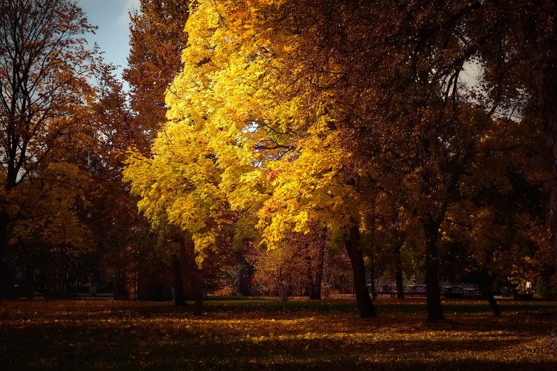 осенний парк фото превью