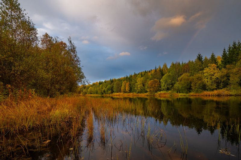 *** фото превью