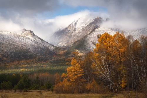 Богатство красок осени/Wealth of autumn