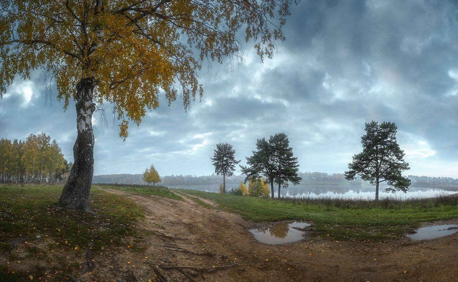 , Николай Андреев