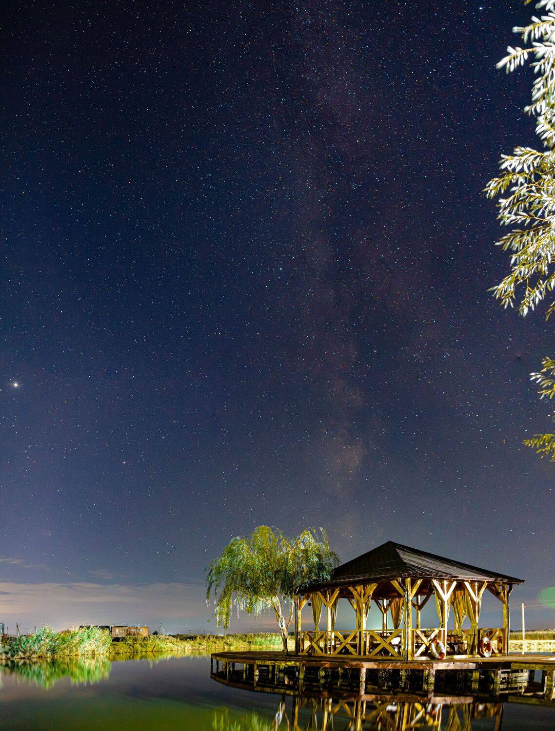 , Викулов Николай