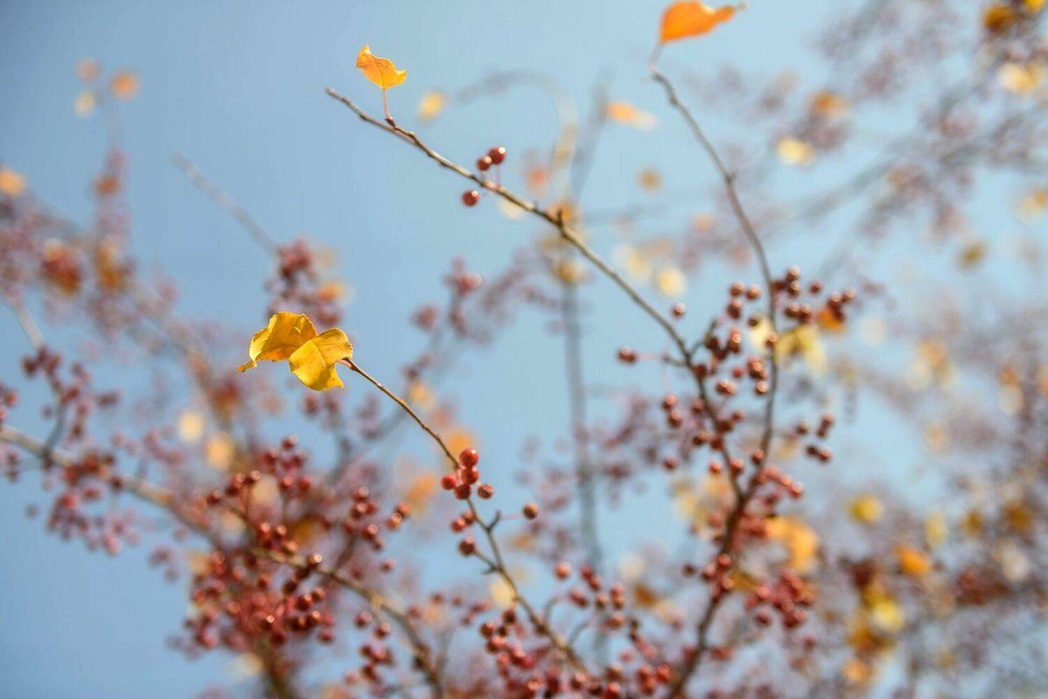 , Наиля Гарифуллина