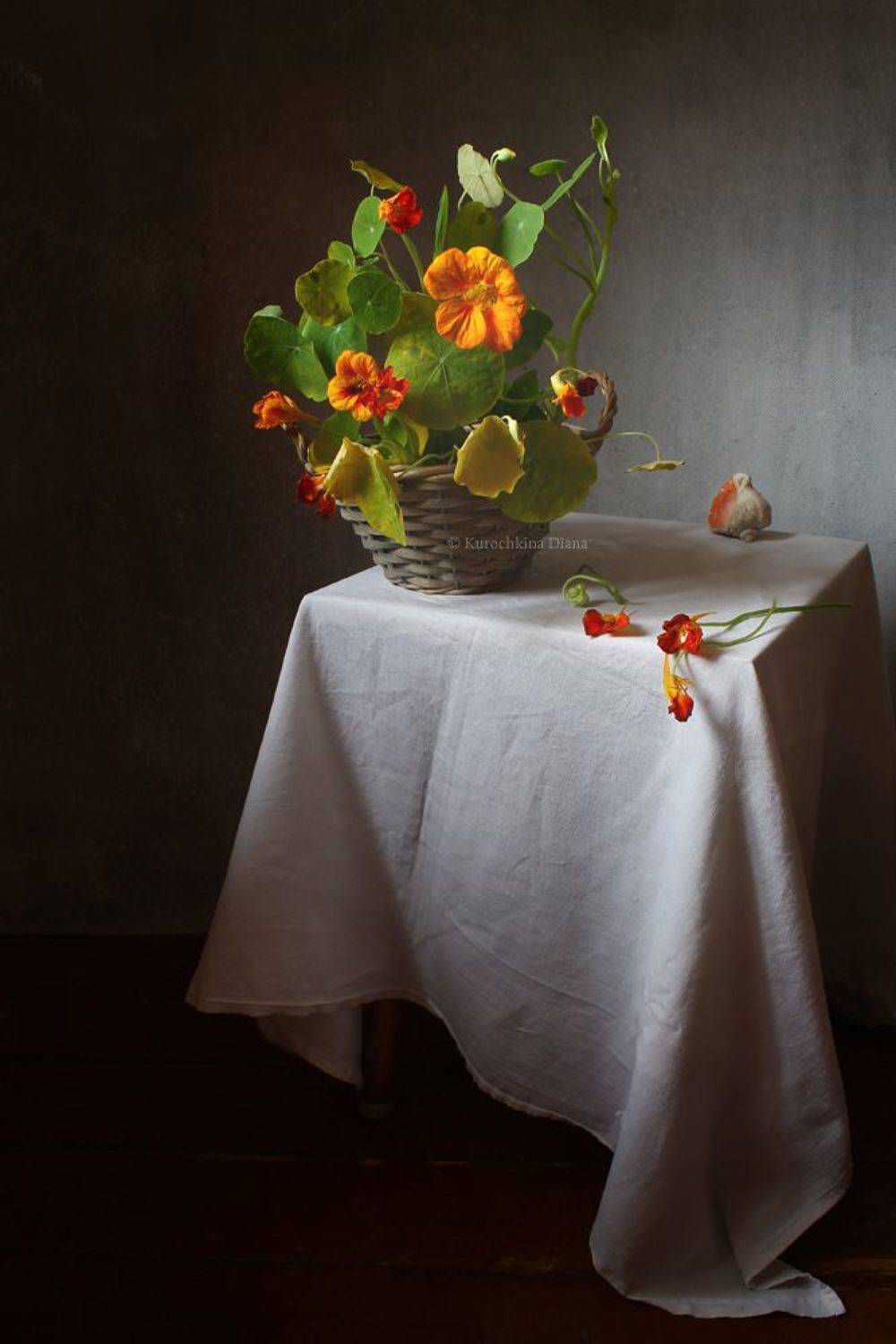 натюрморт, цветы, настурция, Курочкина Диана