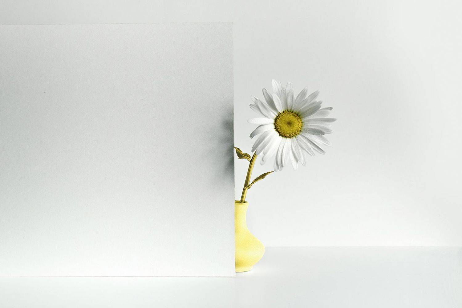 , MVO (Марк Орлов)