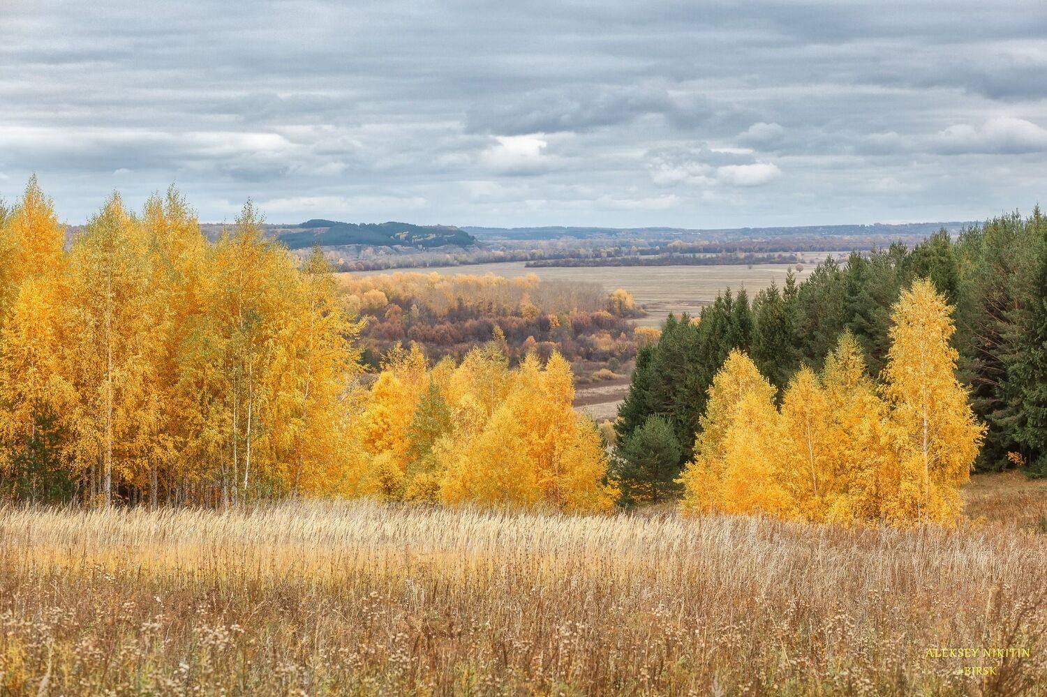 , Алексей Никитин