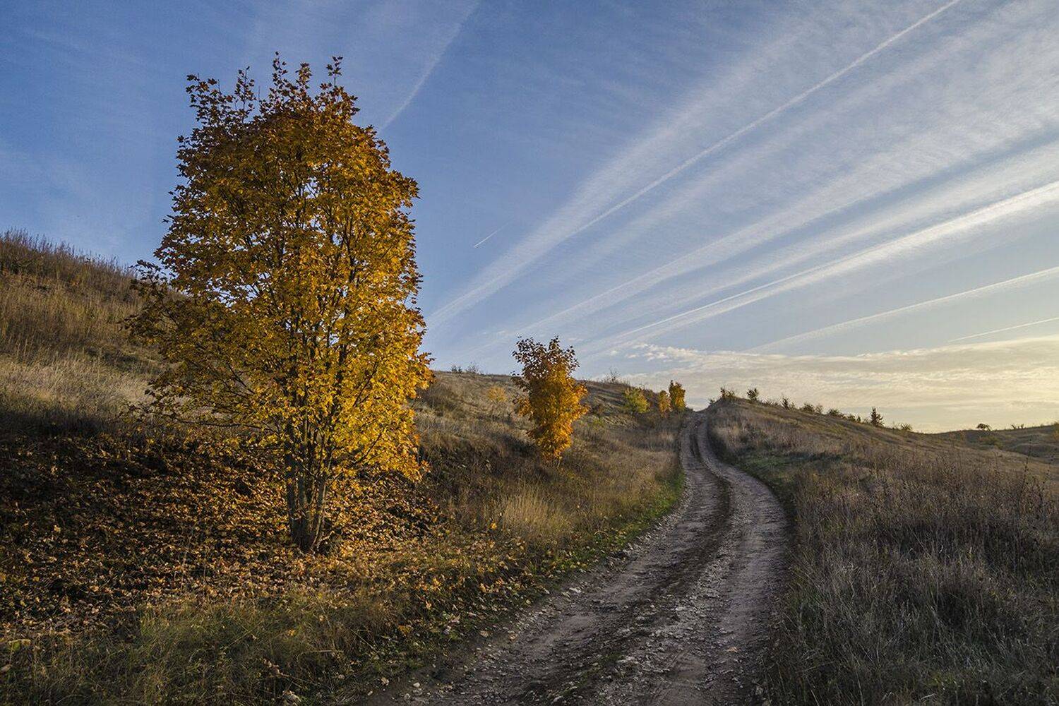 осень, Михаил Агеев